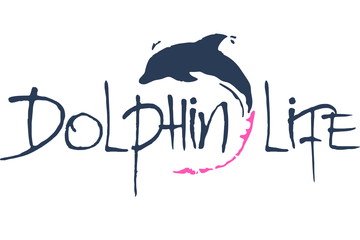 Dolphin Life Magnets