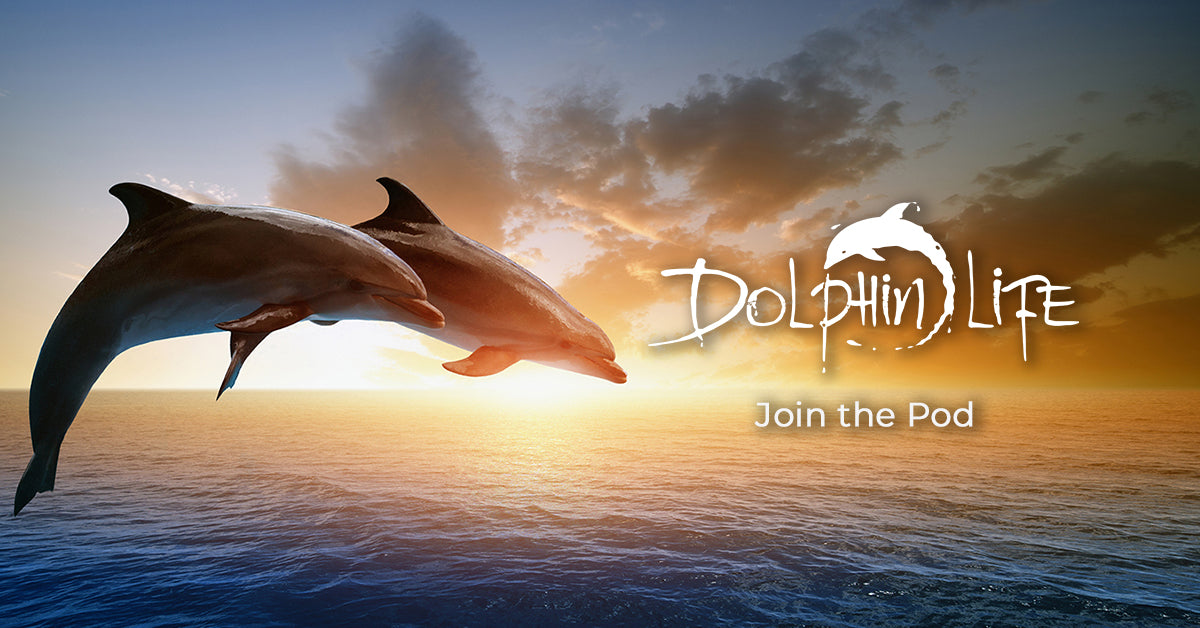 Cove Pirate Stickers (3) – Dolphin Life